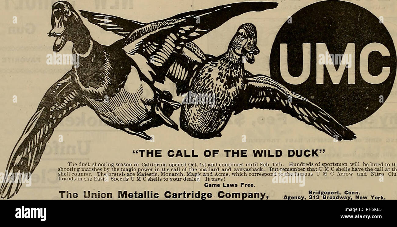 Breeder And Sportsman Horses Wse Boots X Avxxvtxviv V N Nv Ixx X Gt Sx Xx Xv Vnxvv Ixxxxvxs x Ss Xxxxvxssixv The Call Of The Wild Duck The Duck Shooting Season In California Opened Oct 1st And Continues Until Feb 15th Hundreds Of