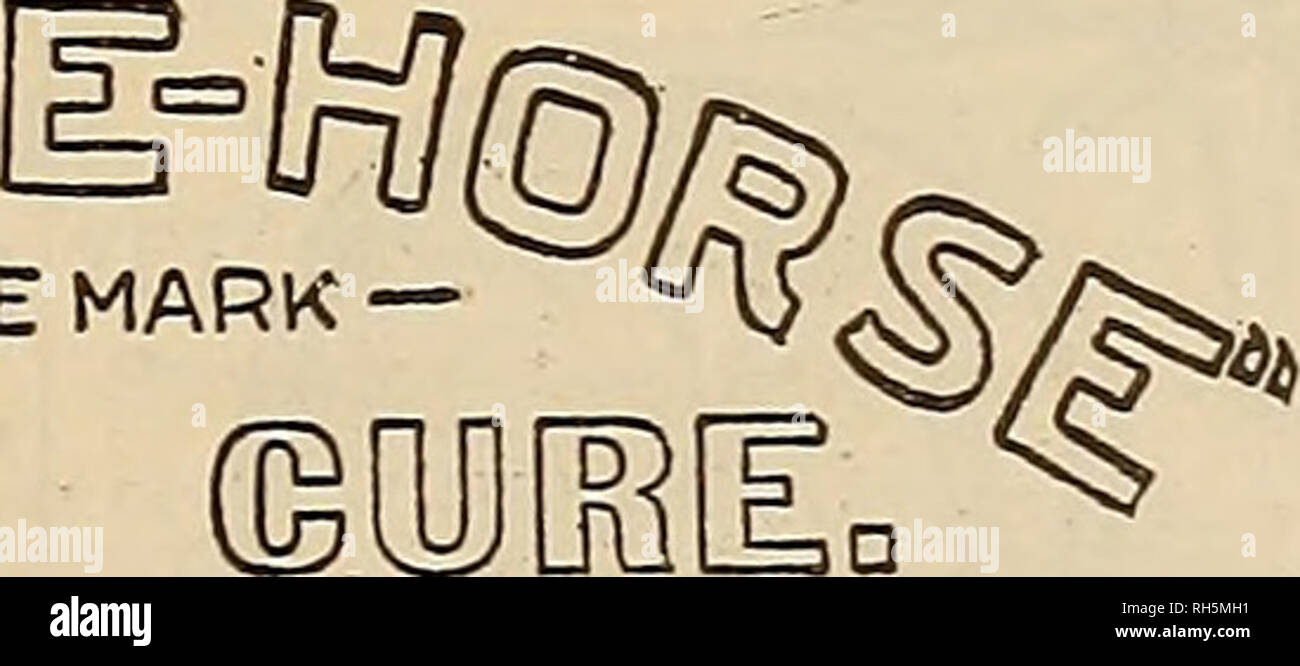 . Breeder and sportsman. Horses. — TRADEMARK— u Ij . ©QBflB Need one wonder why our written guarantee, which accompanies every bottle, was constructed so it is.equivalen*. to a bond? B- W. CHAPIN, M«n«Eer. LOUIS BACHMAJW, bobrbt nxraoswoHTH. sapL 463 Broome SL. New Yotli1 The Northboro Woolen Mills. CkapinvitU, Afass.,^.t9Vj}.h *jgoi» ELIZABETH WAGON WORKS, B. F. STRAUSS, PROP'R. 35-41 South Spring Street, Elizabeth. N. J. Troy Chemical Co., Troy, N. Y. Gentlemen:—With three bottles of &quot;Save-the- Horse111 removed a thoroughpin on one leg and cured a spavin on the other leg on one or my ho Stock Photo