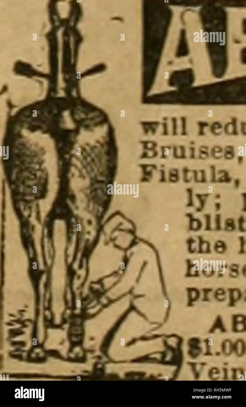 Breeder And Sportsman Horses For Sale By All I 3l Quot G Druggists Jsz Sbms Lt E Brothers W R Hance Brothers Amp White Pharmaceutical Chemists Philadelphia Abso Rbine Will Reduce Inflamed Nwolien Joints Bruises Soft