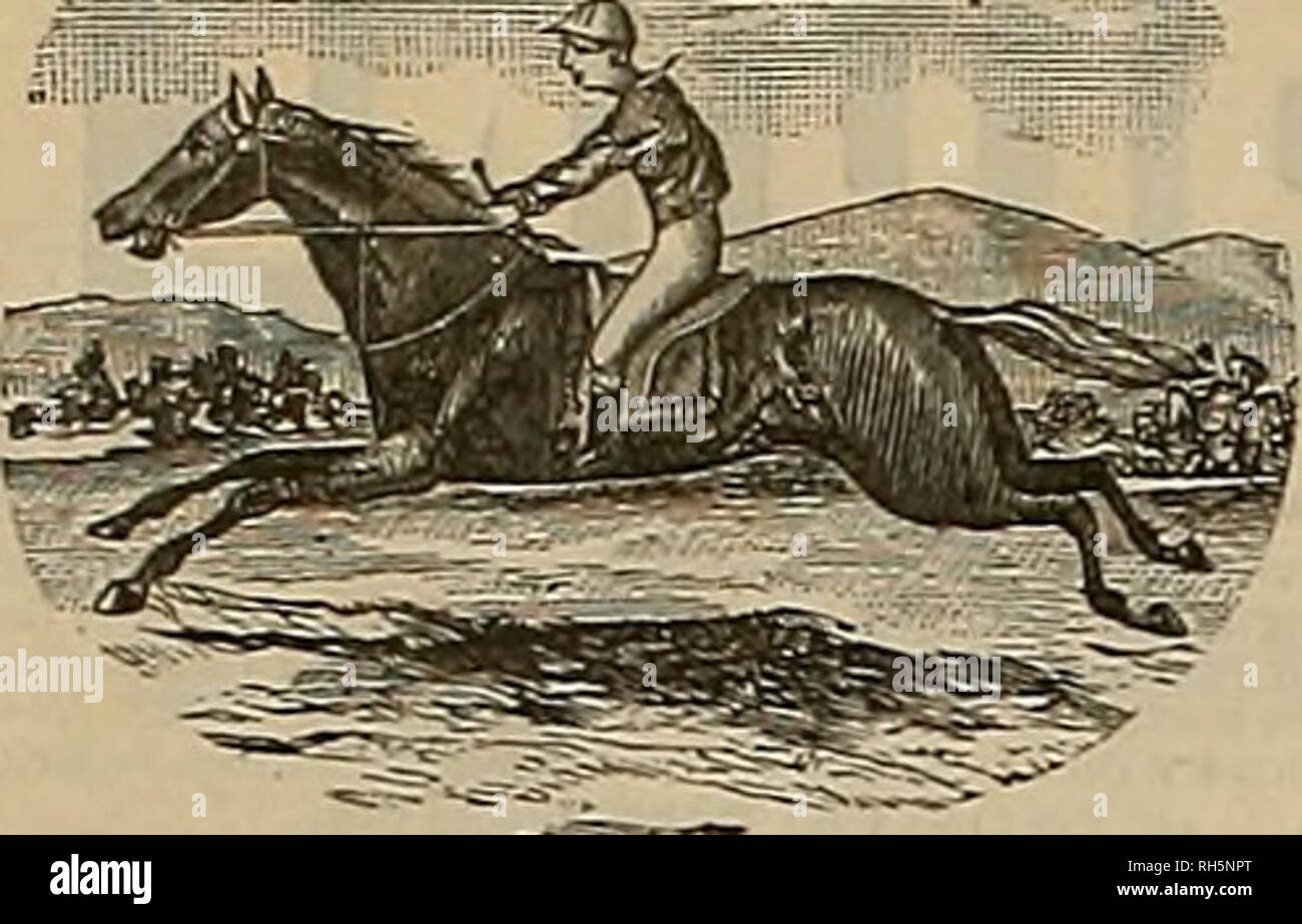 Jrje hires stock photography and images Alamy