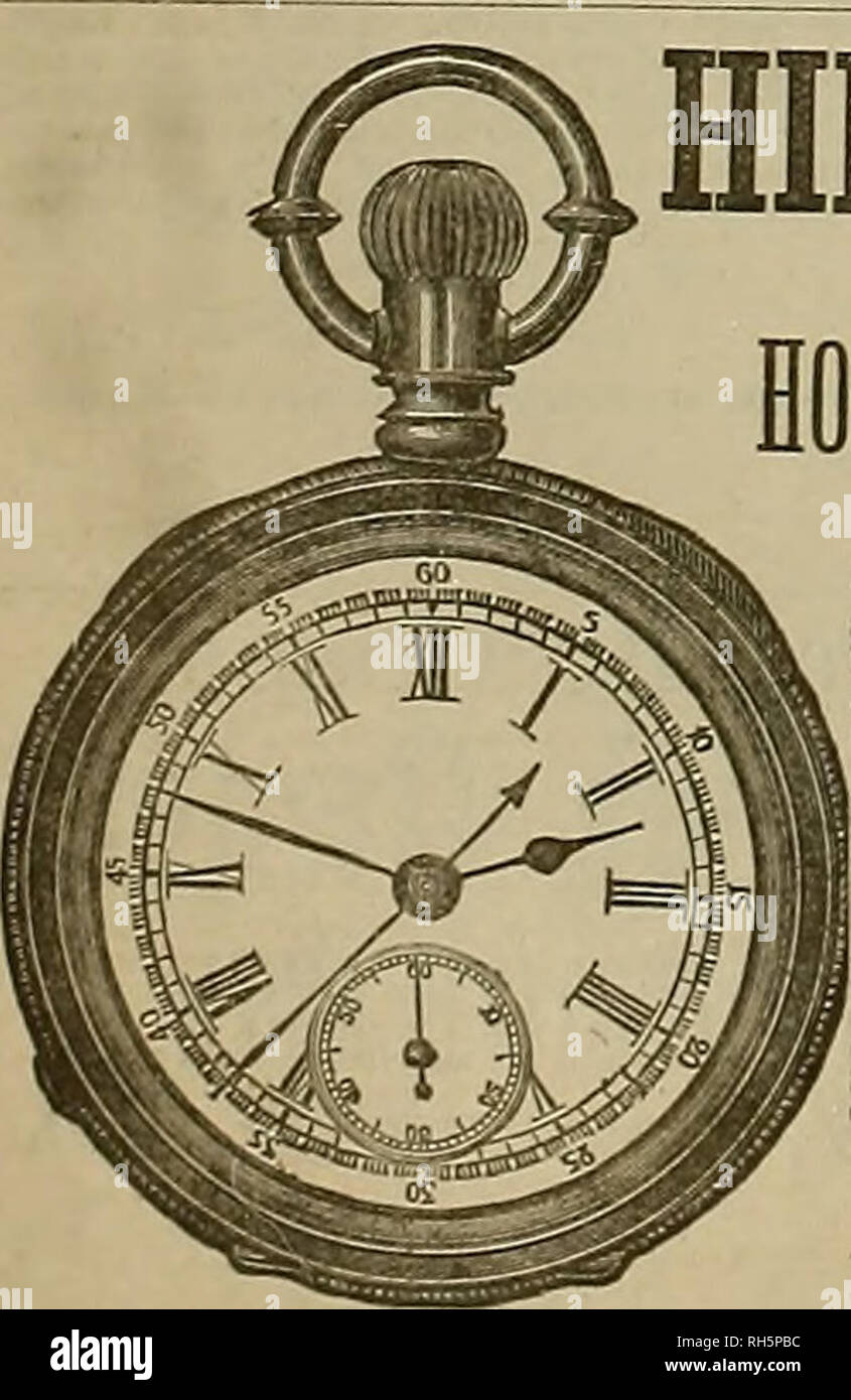 Dealers selling horses at the horse market hires stock photography and