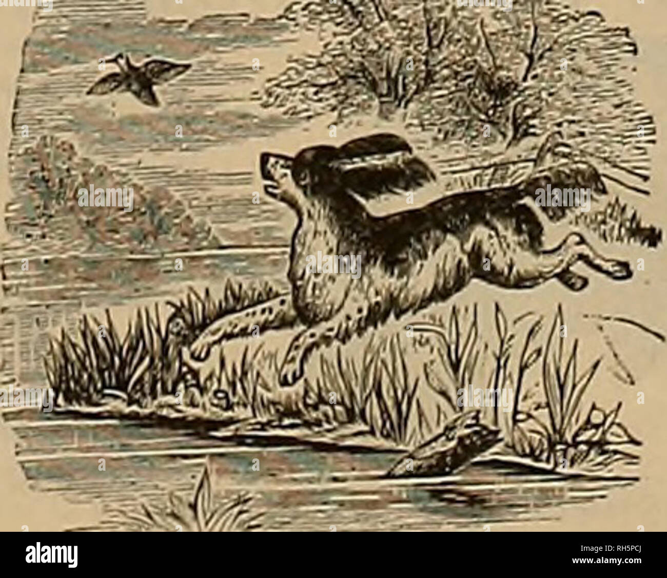 The second international 1889 hires stock photography and images Alamy