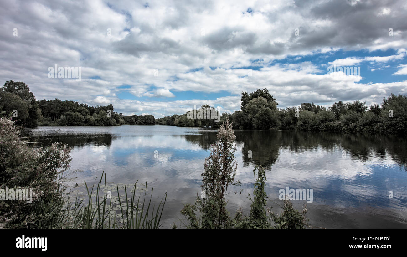 The Lake at West Stow Stock Photo Alamy