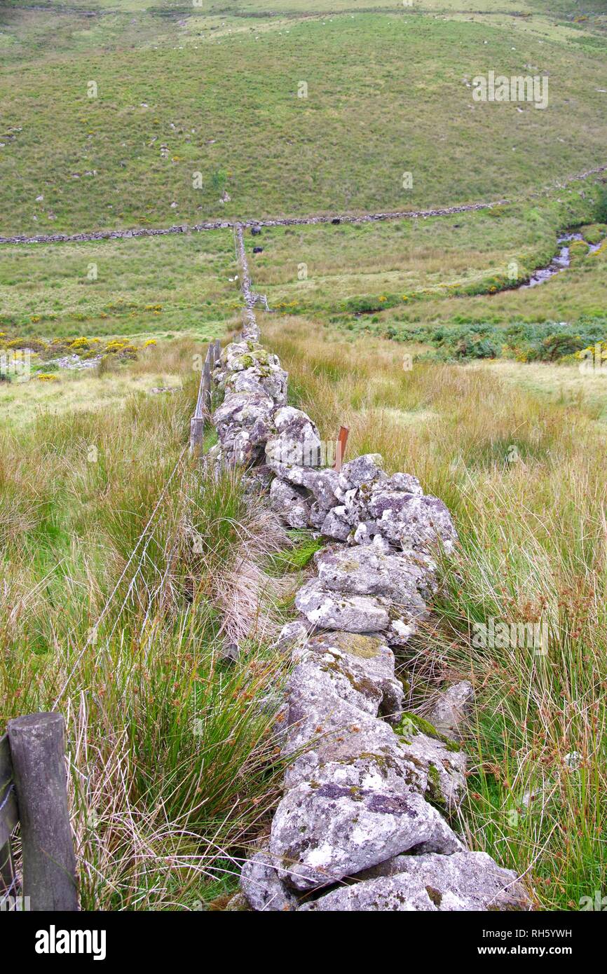Looking along a Drystone Wall, Down into The Valley of the West River Dart. Dartmoor National Park, Devon, UK. Stock Photo