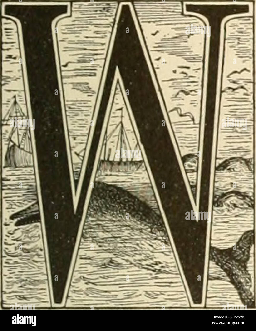 . Brehm's Life of animals : a complete natural history for popular home instruction and for the use of schools. Mammals; Animal behavior. ZU Mbales. THIRTEENTH ORDER: Cetacea.. HALES are among the mammals what the fish are among the vertebrates: creatures belonging exclu- sively to the water and an- atomically constructed in accordance with the neces- sities of such a mode of life. Their size is an indi- cation of this: for the water alone admits of the easy progress of such giants, and only the infinite abun- dance of the sea affords them the required nourishment. The Whales exhibit the warm Stock Photo