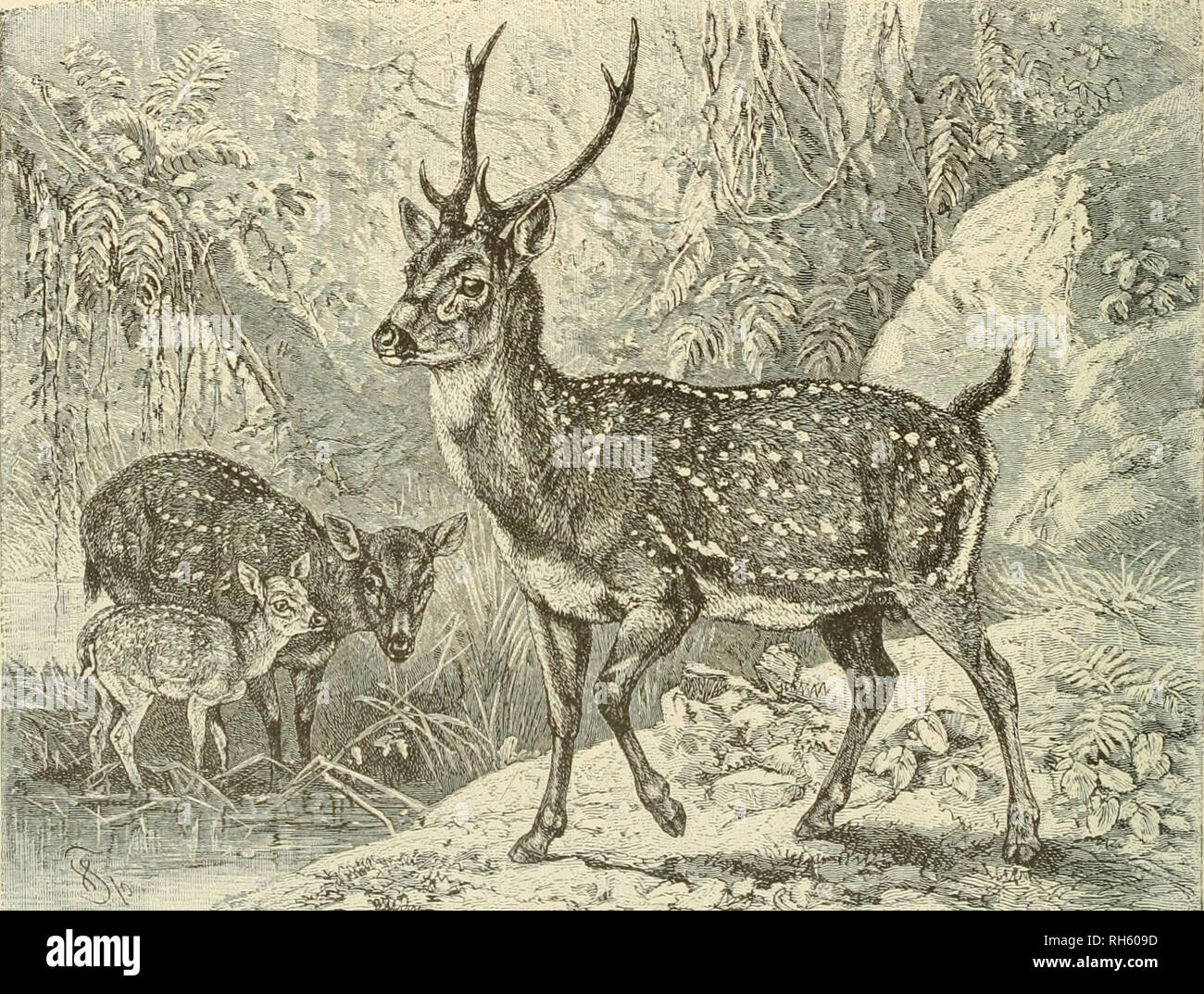 Principal Axis Hi Res Stock Photography And Images Page 3 Alamy