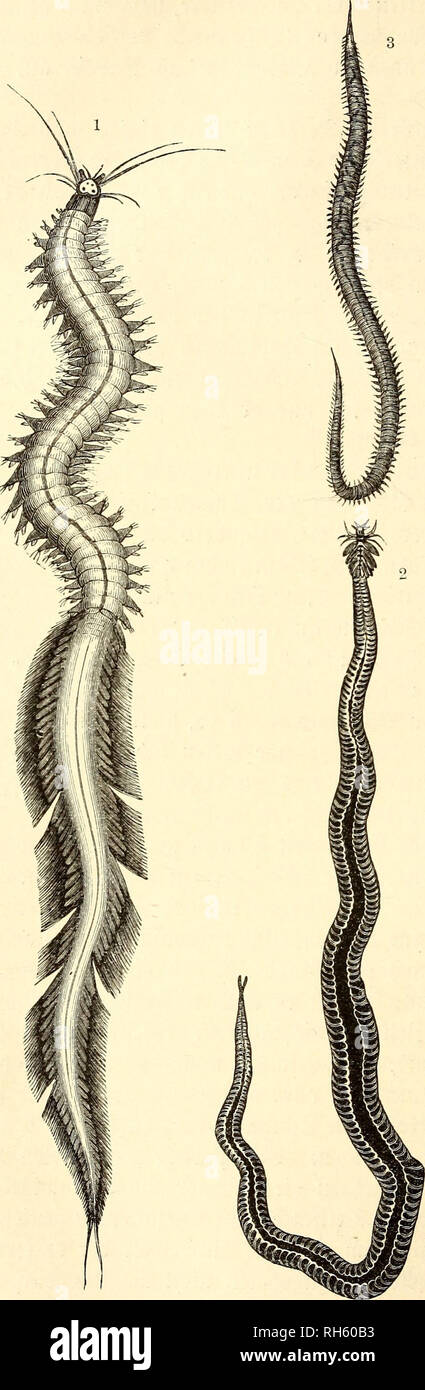 Ftcl High Resolution Stock Photography And Images Alamy