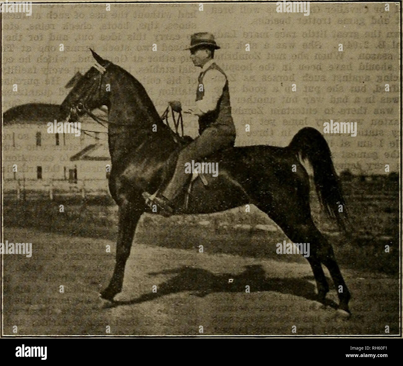 . Breeder and sportsman. Horses. James W. Cromwell, one o£ the pioneer