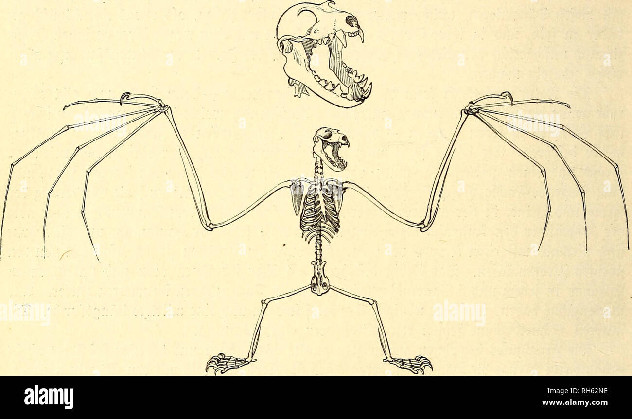 Furd Stock Photos Furd Stock Images Alamy