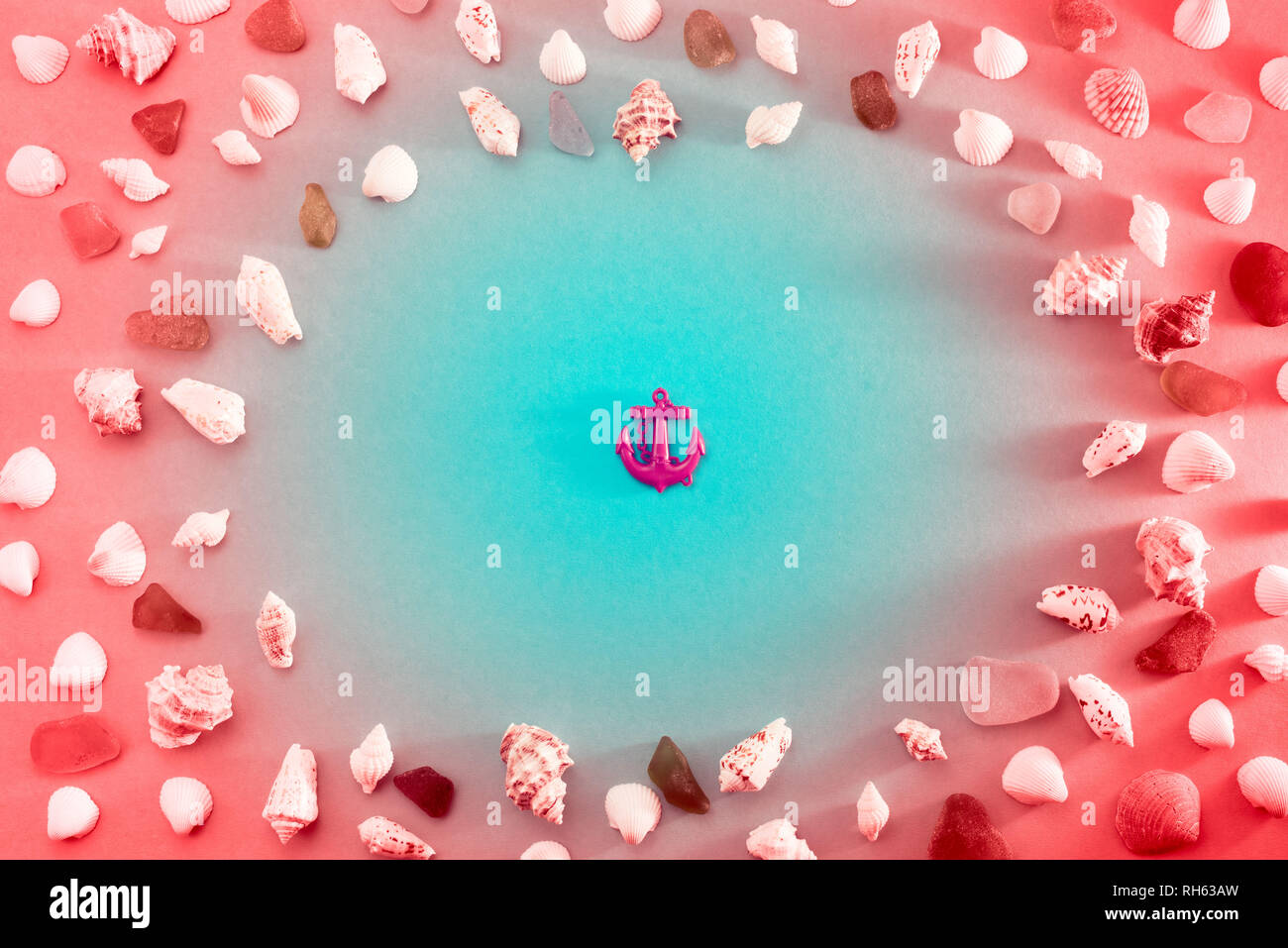 Different sea shells on live coral background. Top view flat lay Stock Photo