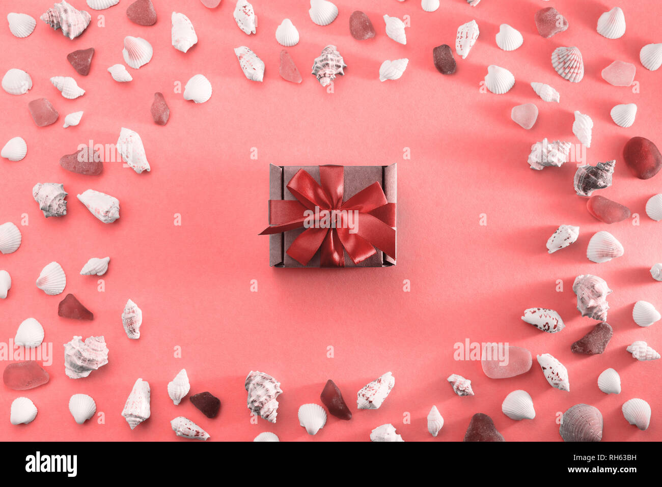 Different sea shells on live coral background. Top view flat lay Stock Photo