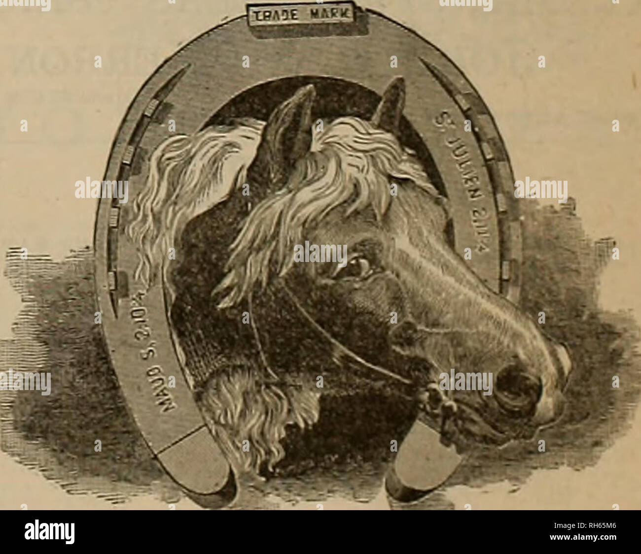 ... ON sportsman. and Horses. Breeder WHEELS ASIDE-BAR BrGGY TWO BrGGY TWO ASIDE-BAR sportsman. and WHEELS ON ... Horses. Breeder