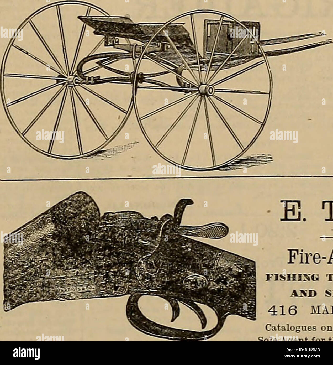 . Breeder and sportsman. Horses. THE CHAMPION One-Spring&quot; Training- Cart. ENTRIES. ENTRIES. Saturday, June 4th, 1884. En- 2-22 Class Purse S760, divided 8450, S200 and ?100. Mile beats. 3 in 5 in harness; 5 or more to enter; 3 or more to start. Entrance ten per cent, of purse, tries close with the Secretary Saturday, Jnne 71 T. W. HINCHMAN. 1438 California St â SUPERINTENDENT. Situation -wanted by nn Englishman, thor- o-ghly competent, as superintendent of a stock ranch or breeding establishment. Un- derstand the business. Highest references eiven. Address, J. M., this Office. FOR SALE. H Stock Photo