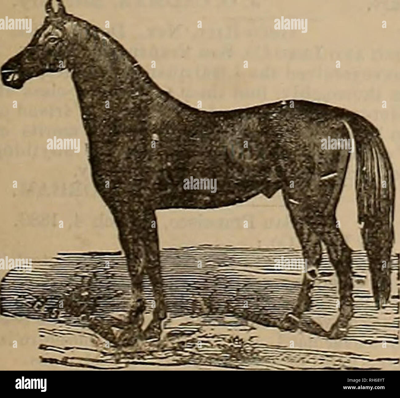 Delta co 1 7 hi-res stock photography and images - Alamy