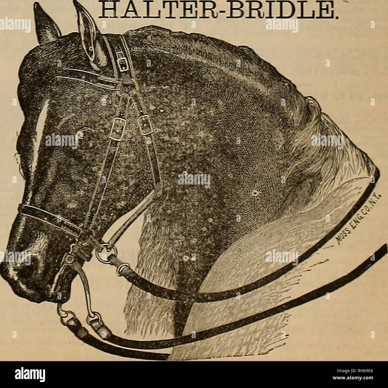 Breeder And Sportsman Horses For Sale Thoroughbreds Op All Ages Enquire Of Iii Mi V Walsh Sup T Running Horse Dep T Palo Alto Stock Farm For Sale 1 100 Spanish Merino Rains And Grades