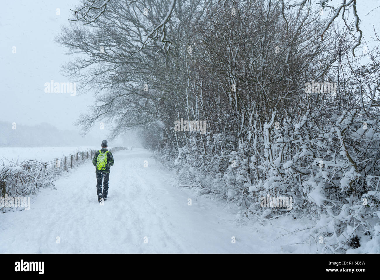 Chippenham, Wiltshire, UK. 1st February, 2019. Chippenham, Wiltshire in the snow on the way to work Credit: Roland James/Alamy Live News Stock Photo