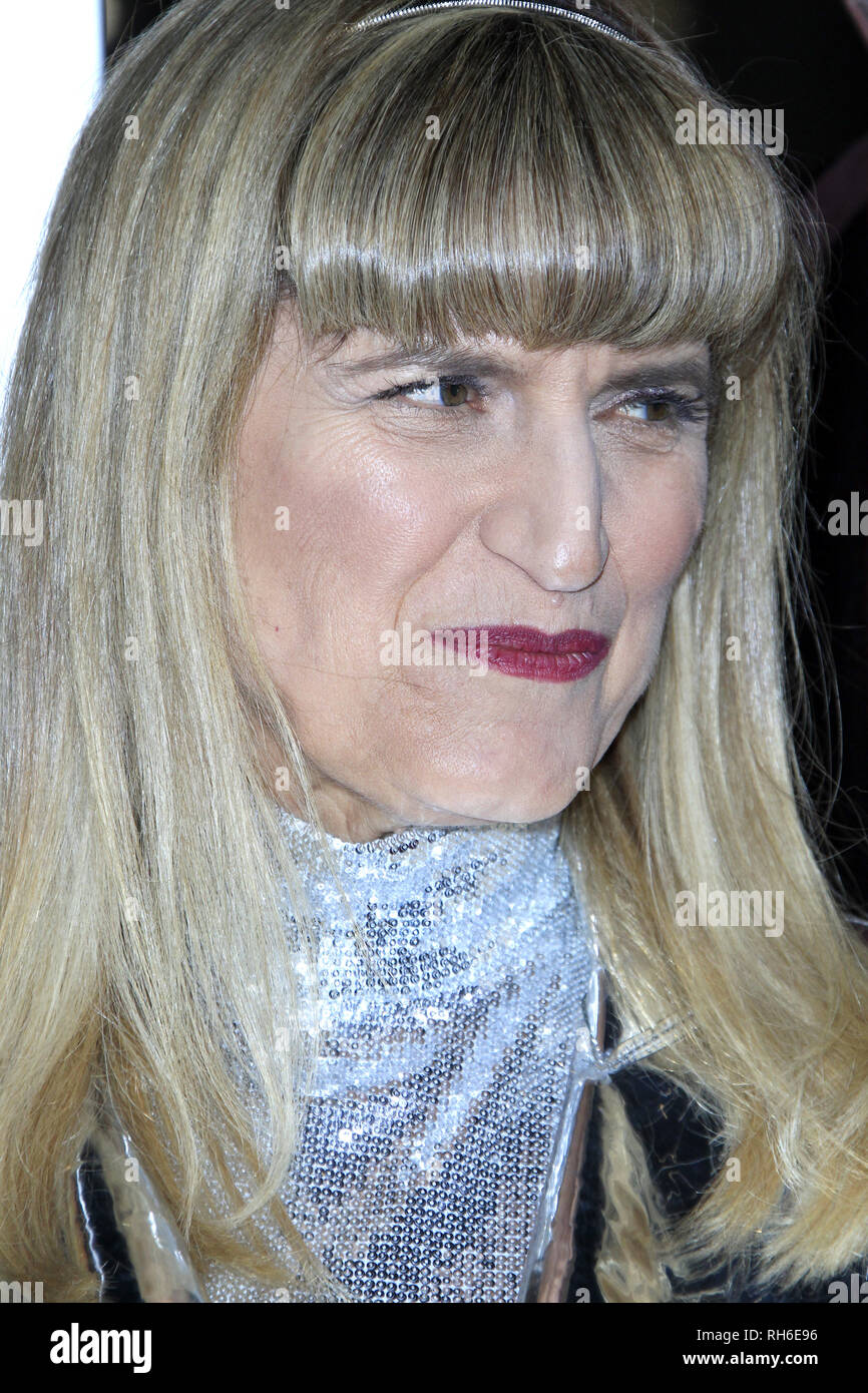 Los Angeles, CA, USA. 30th Jan, 2019. LOS ANGELES - JAN 30: Catherine Hardwicke at the ''Miss Bala'' Premiere at the Regal LA Live on January 30, 2019 in Los Angeles, CA Credit: Kay Blake/ZUMA Wire/Alamy Live News Stock Photo