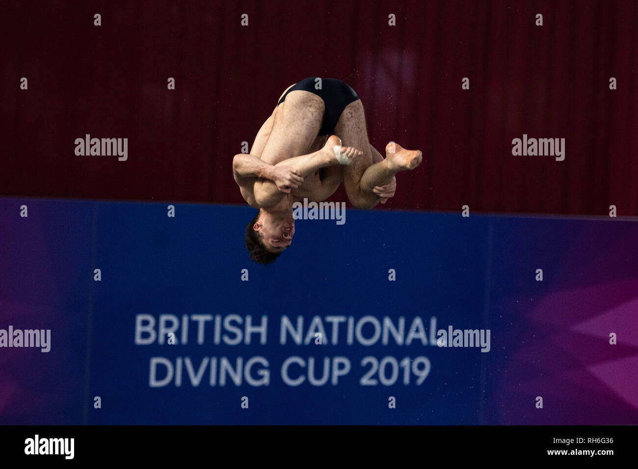Plymouth, UK. 1st Feb 2019. Nicolas Carcia Boissier - (ESP) in Men's Prelim during British National Diving Cup 2019 at Plymouth Life Centre on Friday, 01 February 2019. PLYMOUTH ENGLAND.  (Editorial use only, license required for commercial use. No use in betting, games or a single club/league/player publications.) Credit: Taka G Wu/Alamy News Stock Photo