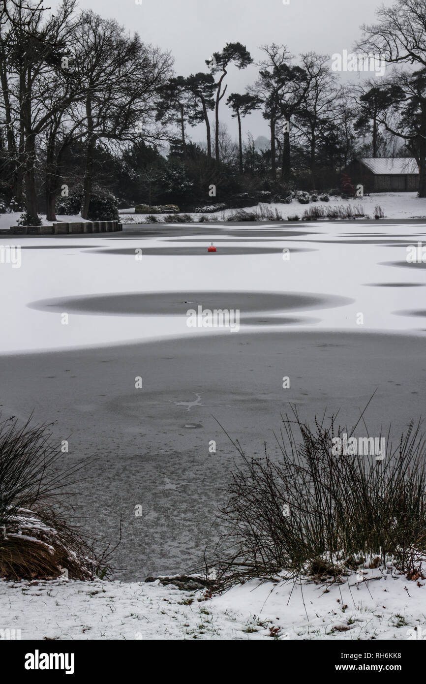Tunbridge Wells, Kent, England. 1st February, 2019. Snowfall overnight left a pretty white blanket of snow at  Dunorlan Park, with its large boating lake frozen over with cracked ice. Sarah Mott / Alamy Live News Stock Photo