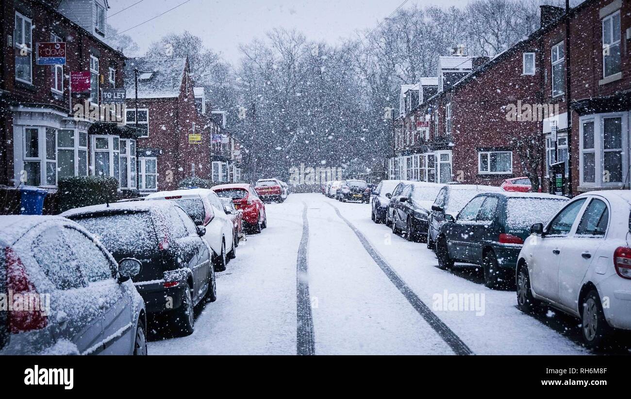 Sheffield, UK. 1st Feb 2019. Snow Fall in Sheffield City Center . Britain is experiencing bad weather as the whole country is snowing at very low temperatures, mainly in southern England. Credit: Ioannis Alexopoulos/Alamy Live News Stock Photo