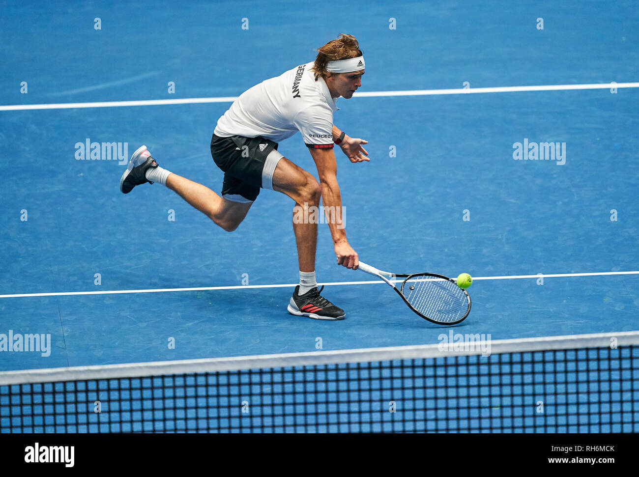 Frankfurt, Germany. 01st Feb, 2019. Alexander (Sascha) ZVEREV, GER in  action, forehand, backhand, service, he wins