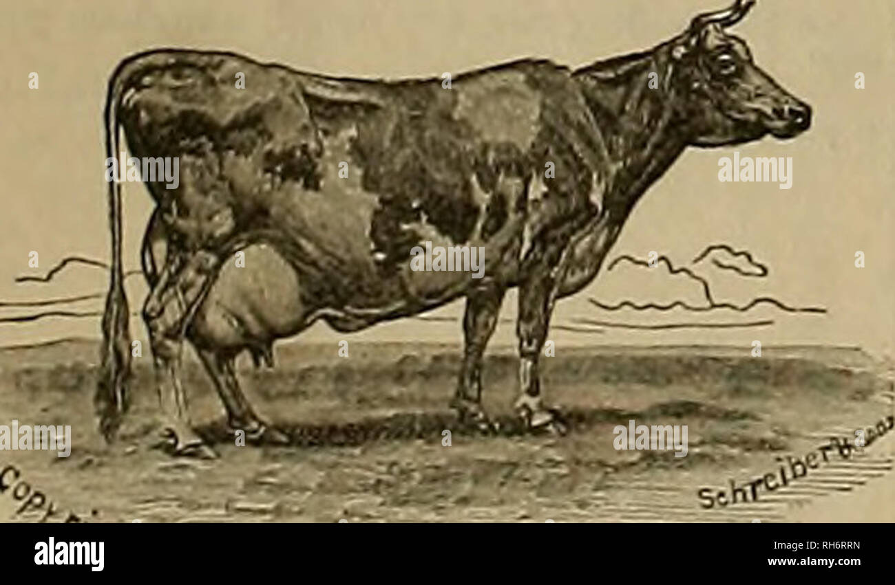. Breeder and sportsman. Horses. 78 'Ixc ^xmUx muX gyvxtsmmx. Aug 4 STOCK FASMS. My New Catalogue For 1883, OF 180 PAGES, CONTAINING VALUABLE TA. bles, with trotting statistics up to close of 1*82, with descriptions :uu pedigrees of 276 liigh-lircd trot- ting stock, now at Fairlawn stock farm, adjoining the city of Lexington. Kv., will be sent free to all appli- cants who contemplate purchasing, and to all others who send four cents in stamps to prepay postage. TWENTY Fine &amp; Highly-bred Broodmares &quot;bred to the Fairlawn stallions, and 138 Head of Promising Youug Trotting Stock, consis Stock Photo