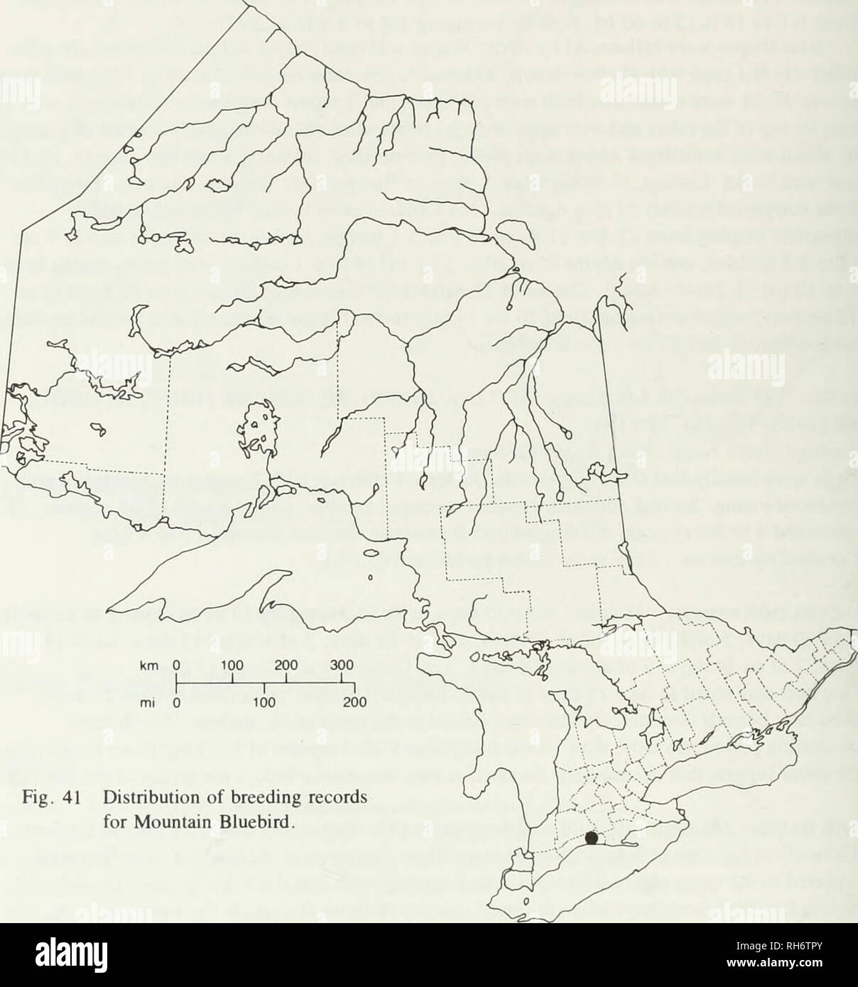 . Breeding birds of Ontario : nidiology and distribution. Birds; Birds; Birds. Breeding Distribution Although much more numerous earlier in this century, the Eastern Bluebird (Fig. 175) can still be found throughout most of its former range in the agricultural and forest-cleared areas in the southern half of the province. Summer records occur as far north as Favourable Lake and Moosonee, but bluebirds are unlikely to be seen north of Lac Seul or Kapuskasing and are now rather locally distributed. Some extensive nest-box projects in southern Ontario have resulted in local increases in populatio Stock Photo