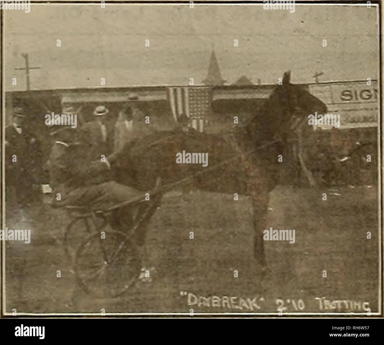 . Breeder and sportsman. Horses. SELBY WINS THE HANDICAP! At Madera, Cal.. May 25-6-7, 1911. This Blue Ribbon event of the Pacific Coast was won by Mr. Ed Mitchell of Los Angeles, at the 17 yard mark Mr. J. R. Converse of Los Angeles, at the 19 yard mark Mr. Dave Ruhstaller of Sacramento, at the 18 yard mark Mr. F. M. Newbert of Sacramento, at the 20 yard mark 93 x 100 92  100 92 x 100 91 x 100 Tied for third place, 91 x 100. HIGH ON ALL 16 YARD TARGETS is the record of Jlr. Xewbert, an amateur. He broke 365 x 400. Mr. Newbert was also HIGH ON ALL BIRDS, including 50 pairs of Doubles and the  Stock Photo