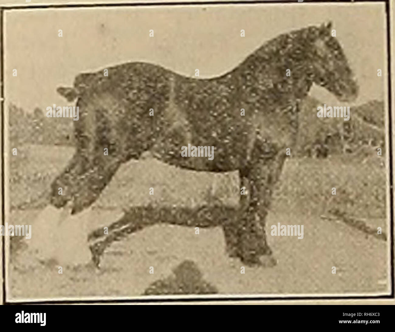 Gratt High Resolution Stock Photography and Images - Alamy