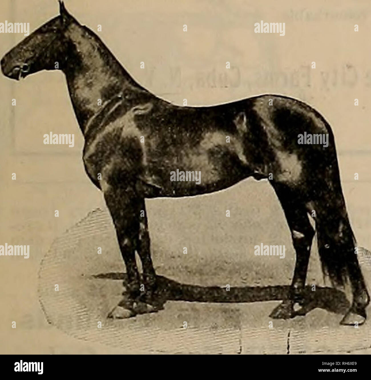 J mckinney hi-res stock photography and images - Page 4 - Alamy