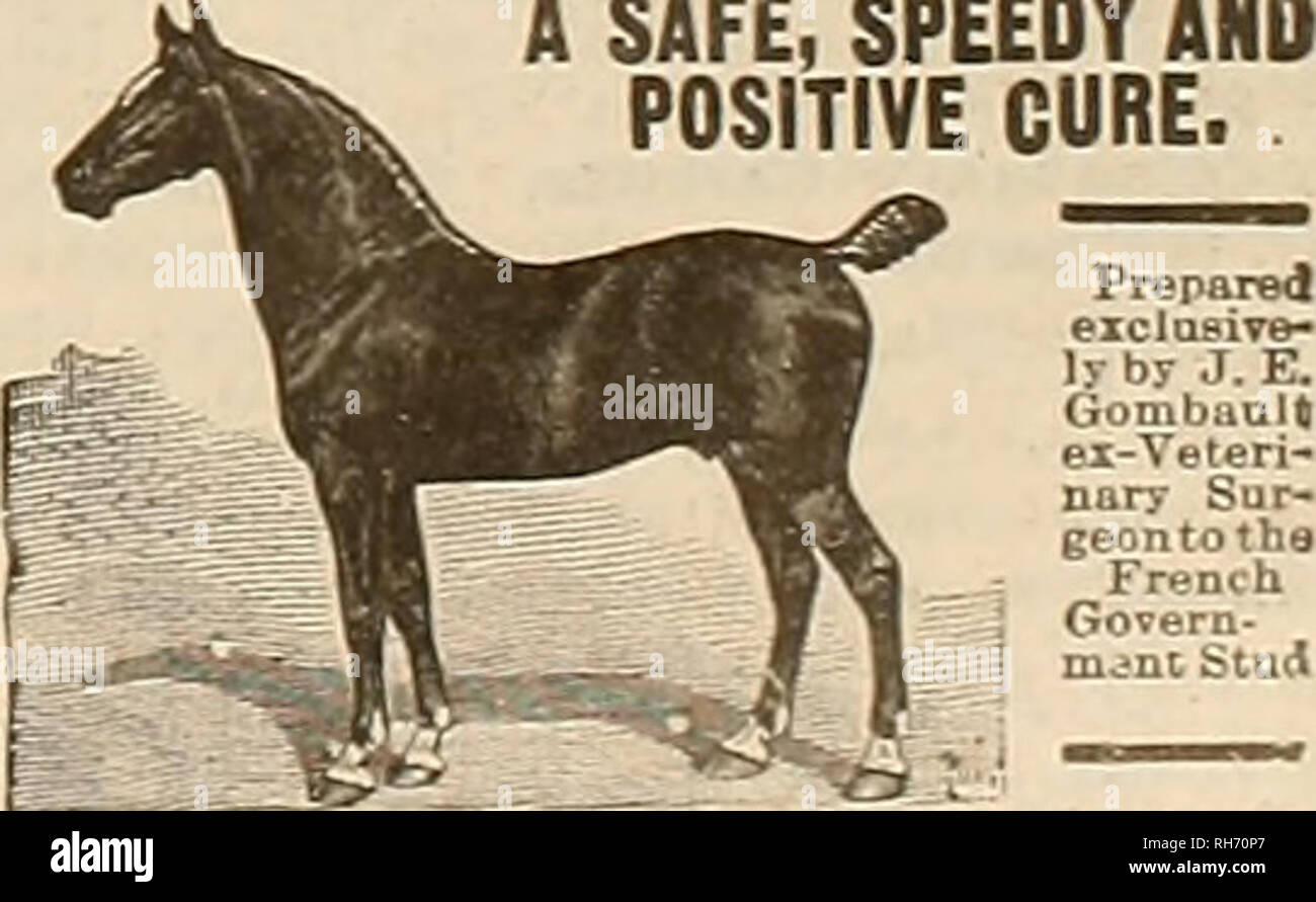Wallpaper Breeder And Sportsman Horses May 2 H03 A C He Gvsebev Atxii Desktop Wallpaper