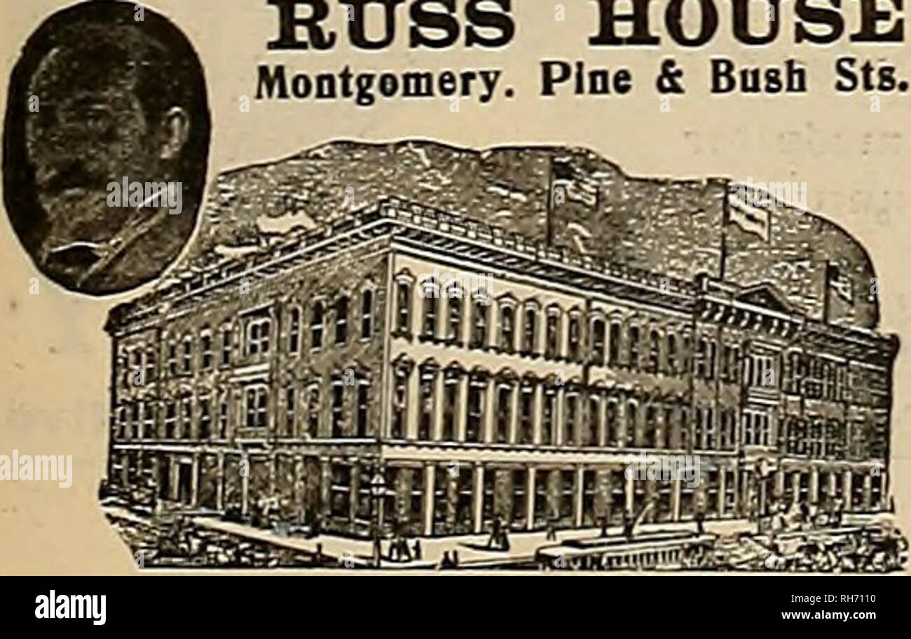 . Breeder and sportsman. Horses. BUSS HOUSE Montgomery. Pine &amp; Bush Sts.. Horsemen's and Sportsmen's Headquarters American or European Plan. CHAS. NEWMAN CO., Props. CALIFORNIA Photo Engraving Company HIGH CLASS ART IN Half Tones and Line Engraving, Artlatlo Designing. 506 MlBilon St., cor. First. San Franelflcu BLAKE, MOFFITT &amp; T0WNE . —» -DEALERS IN- 55-57-59-61 First Street, S. F. TelEPH0NB!MAIN 199 fUST LIKE A HORSE RACE Wednesdays and Saturdays, at the Pleasanton Rack Track. Bring the ladies and see the FA8TEST HORSES IN THE WORLD. Stop at the ROSE HOTEL A. S.OLNET &amp;SON, Propr Stock Photo