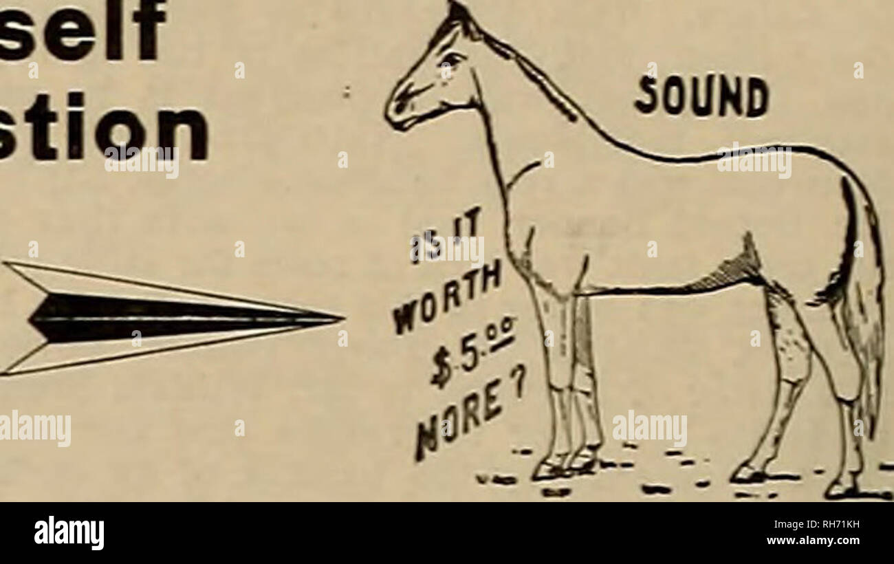 Breeder And Sportsman Horses When Discriminating Cautious Hard Headed Business Men Breeders Trainers And Owners Write For Information And Then Select Save The Horse From The Mass Of Remedies Presented And