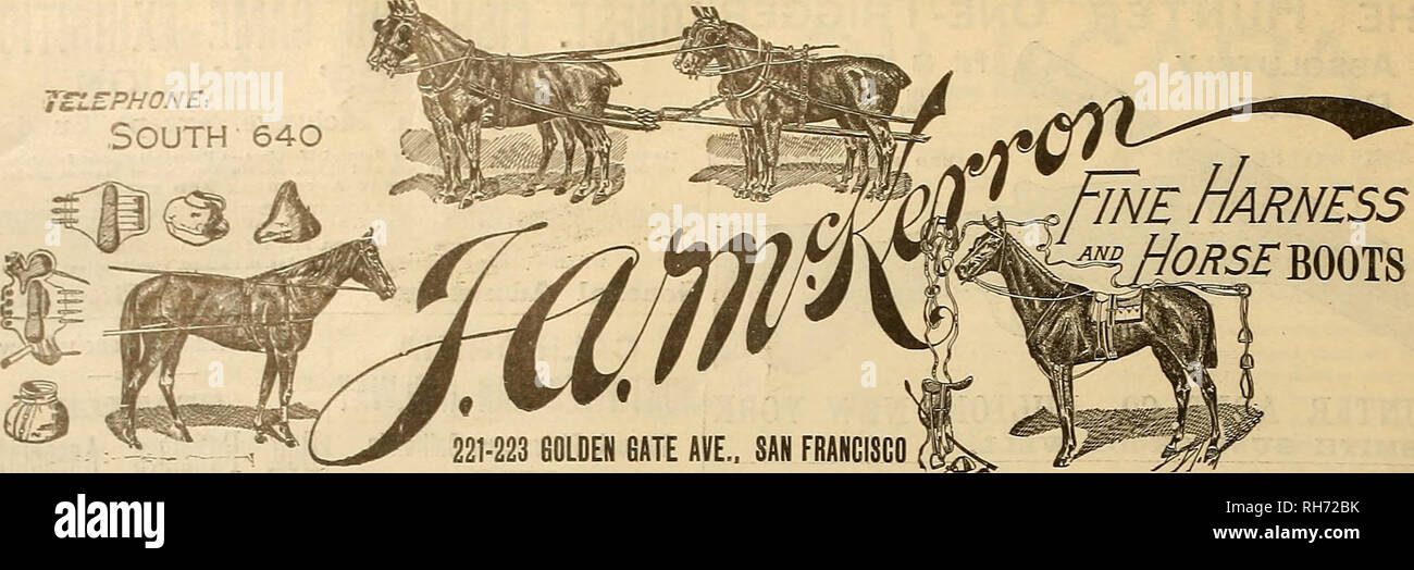 . Breeder and sportsman. Horses. 20 ®tte gvssbsx axxif gipxtrtsfmcm f APRIL 8, 1905. U.M.C &amp;imS£ Professionals and Amateurs have the U. M. C. HABIT EDGAR 1. FORSTEE, shooting- in the Championship Class at the Golden Gate Gun Club shoot held at Insrleside, April 2, 1905, won the highest average -with the Invincible Combination— U.M.C. AMMUNITION AND REMINGTON SHOTGUNS making1 95 per cent. Write for Illustrated Catalog1. Pacific Coast Depot: 86-88 FIRST ST., S. F. E. E. Drake, manager. Winchester WERE AWARDED THE ONLY GRAND PRIZE BY THE SUPERIOR JURY AT THE ST. LOUIS EXPOSITION, 1904. Laflin Stock Photo