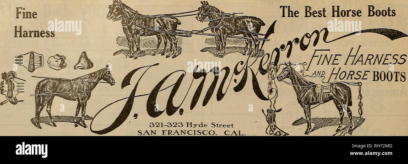 Target harness boots deals