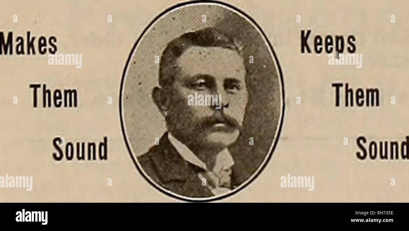 Breeder and sportsman. Horses. Secret Service Speedy Service Sure 