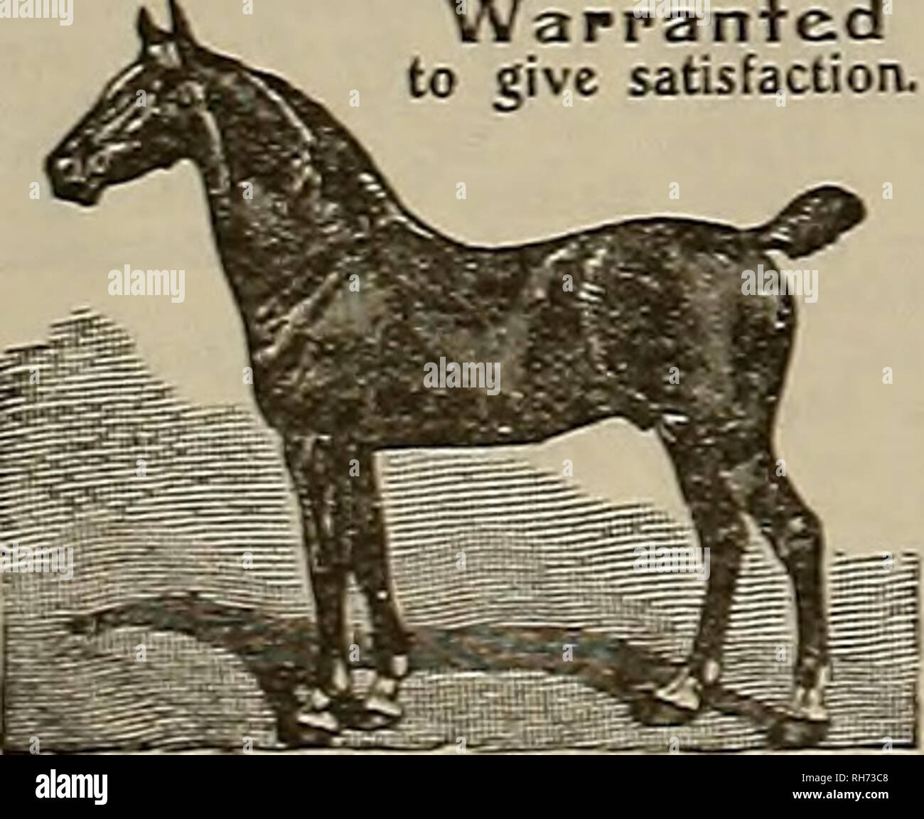 000 pound chamber hires stock photography and images Alamy