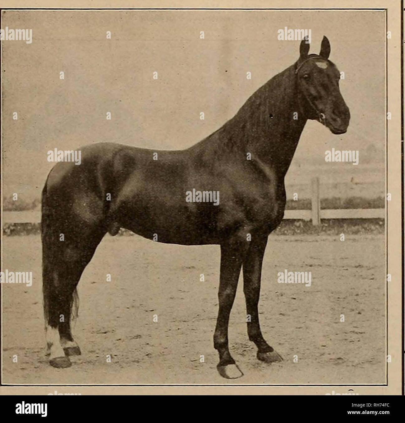 15 February 1896 High Resolution Stock Photography and Images Alamy