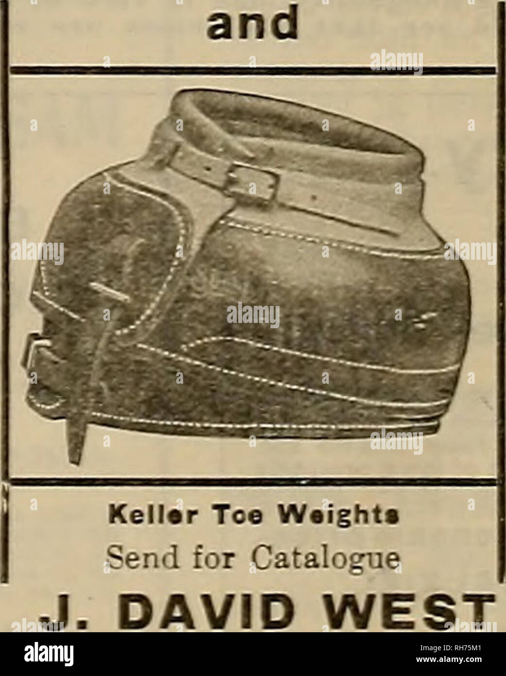 . Breeder and sportsman. Horses. Retail Keller Toe Weights Send for Catalogue DAVID WEST Reducine Save-the-Horse Vita Oil ..Absorbine Giles Tweed's Linament Smith's Wonder Worker Embrocation 1265-1267 Golden Gate Avenue Phon, Pirk 1253 near Fillmore Street. Please note that these images are extracted from scanned page images that may have been digitally enhanced for readability - coloration and appearance of these illustrations may not perfectly resemble the original work.. San Francisco, Calif. : [s. n. ] Stock Photo