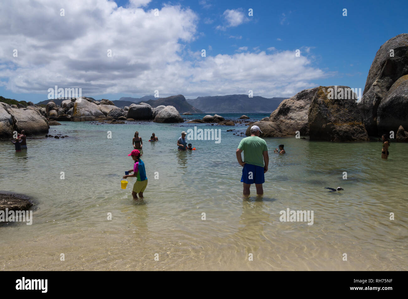 CAPETOWN, SOUTH AFRICA - JANUARY 9, 2019: People swimming with penguins at Boulders Beach in Simon's Town, South Africa. Stock Photo