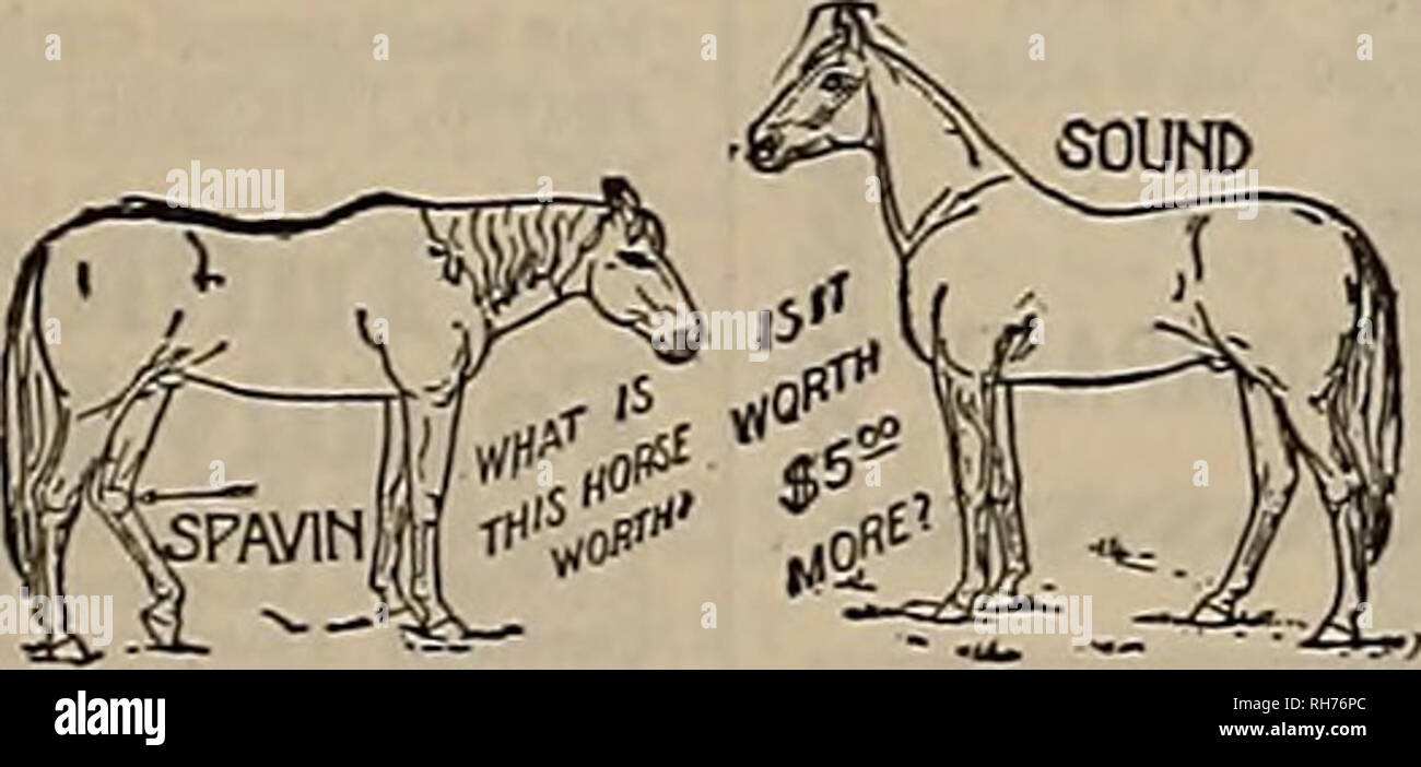 Breeder and sportsman. Horses. Saturday, September 26, 190S.] THE BREEDER  AND SPORTSMAN 13 $S Due Oct. 1,1908, On Weanlings. SnJrJnJh PACIFIC  BREEDERS FUTURITY STAKES NU. 8 Ml FOR FOALS OF MARES