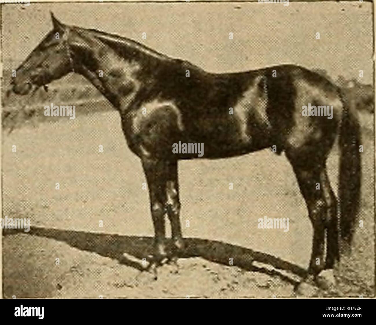 Page 4 A C 7c High Resolution Stock Photography And Images Alamy