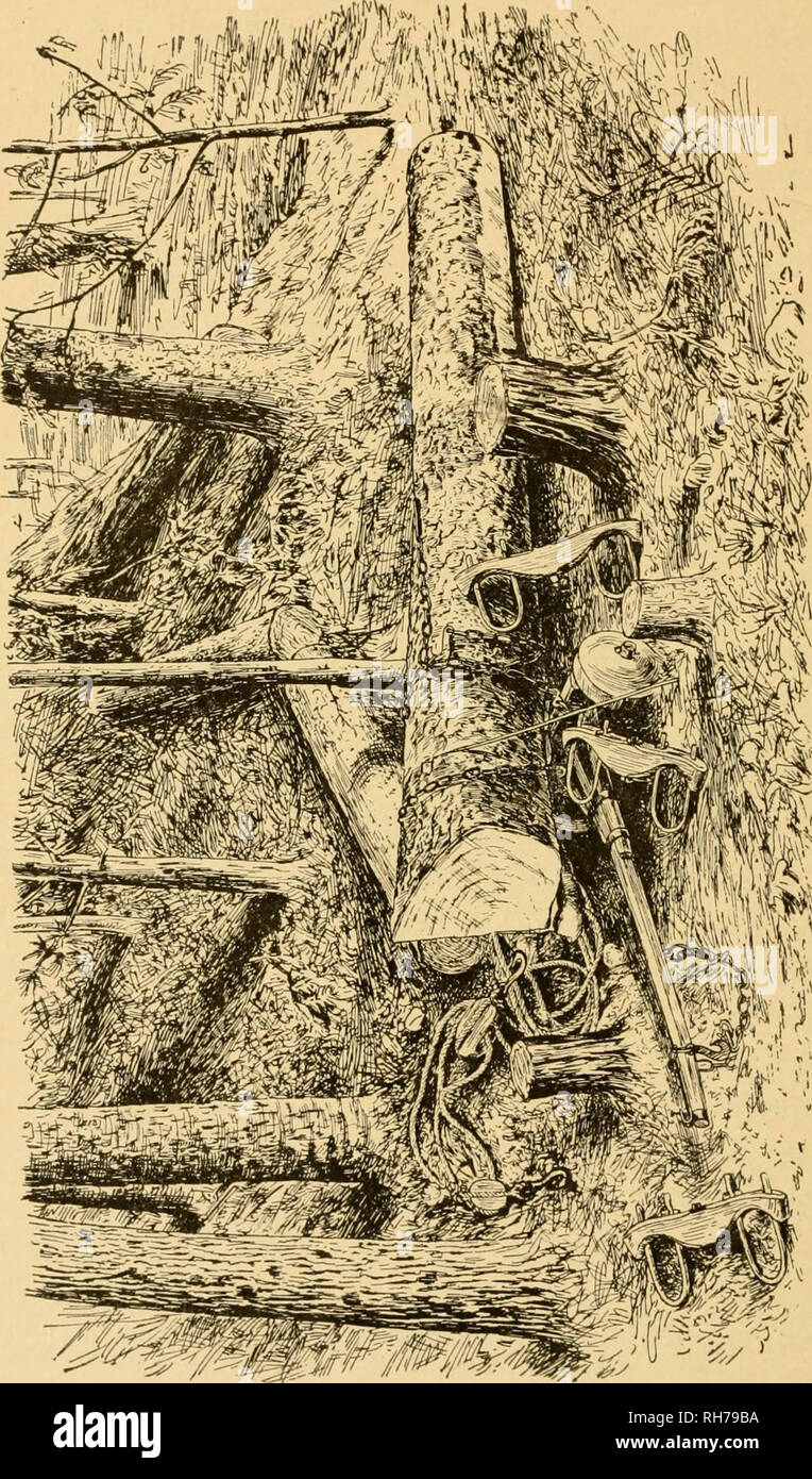 'The argonauts of 'forty-nine, some recollections of the plains and the diggings' (1894) Stock Photo