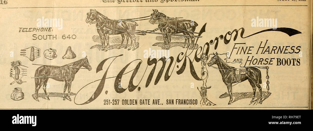 . Breeder and sportsman. Horses. @toe gvesbsv anii gtpoxt$nxaxx f July 15, 1905. SUCCESSFUL CLUBS use AMMUNITION Uniform and Eeliable. Write foi illustrated cataloq. PACIFIC coast depot: 86-88 FIRST ST., S. F. % . 1. $!!u:,J'f- 'â * (L'.M.C.) - a*. Â» ^  â 1 &lt;s *â¢*â¢â W^â &lt; / ^^^W TAT&quot; âM â J Qd^H^ ^^ -. jf ' -:&quot;:, il SUCCESSFUL CLUBS use 4 &amp; S M OT G U ISIS Keen and Accurate. Write for Illustrated Catalog PACIFIC COAST depot: E. E. DRAKE, - â Manager. Please note that these images are extracted from scanned page images that may have been digitally enhanced for readabilit Stock Photo