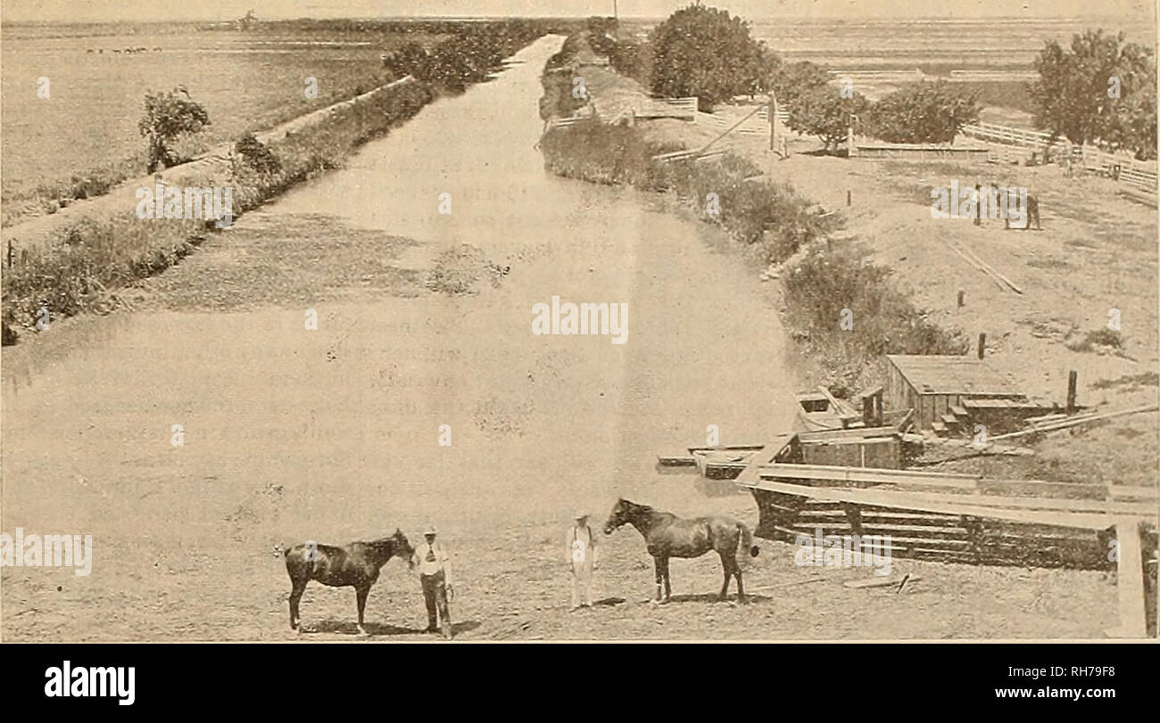 . Breeder and sportsman. Horses. January 14 1905J ©tie gveefrev cmO &amp;p&amp;vt&amp;txtixtt 11 THE FARM. About Polled Durhams. About a quarter of a century ago Eev- eral men in different localities started to breed up to a definite standard a new breed of cattle, with the object of produc- ing a breed resembling in tvpe and range of adaptability—the time honored Short- horns, but to be minus their horns, writes Win. A. Martin in Breeders' Ga- zette. These breeders thought their en- terprise justified by the eyer increasing demand on the part of cattlemen in gen- eral and feeders in particula Stock Photo