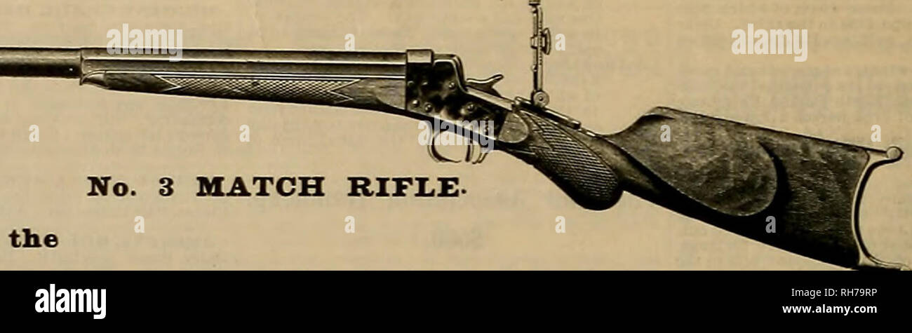 Page 10 - Short Rifle High Resolution Stock Photography and Images - Alamy