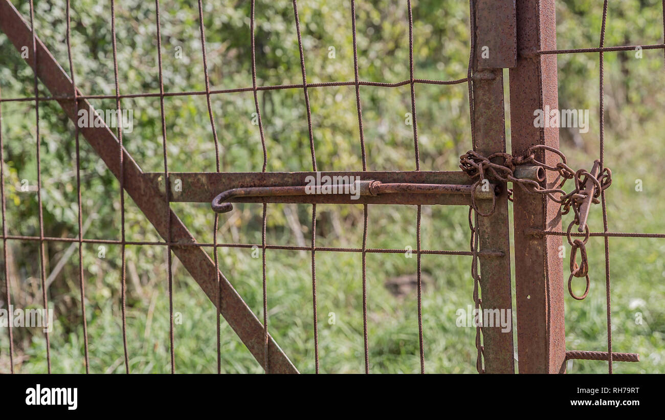 Rusted metal gate with green vegetation background on a wonderful and