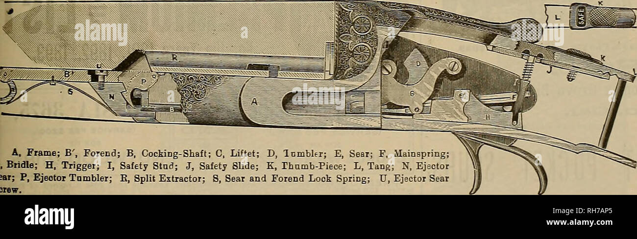 Breeder And Sportsman Horses J Tt Fptrjejcdjer And J Ptfrtsman 539 Cakt 2s 33l 3li Your Horses And Get A Good Price If You Can Find A Customer That Wants To Buy You
