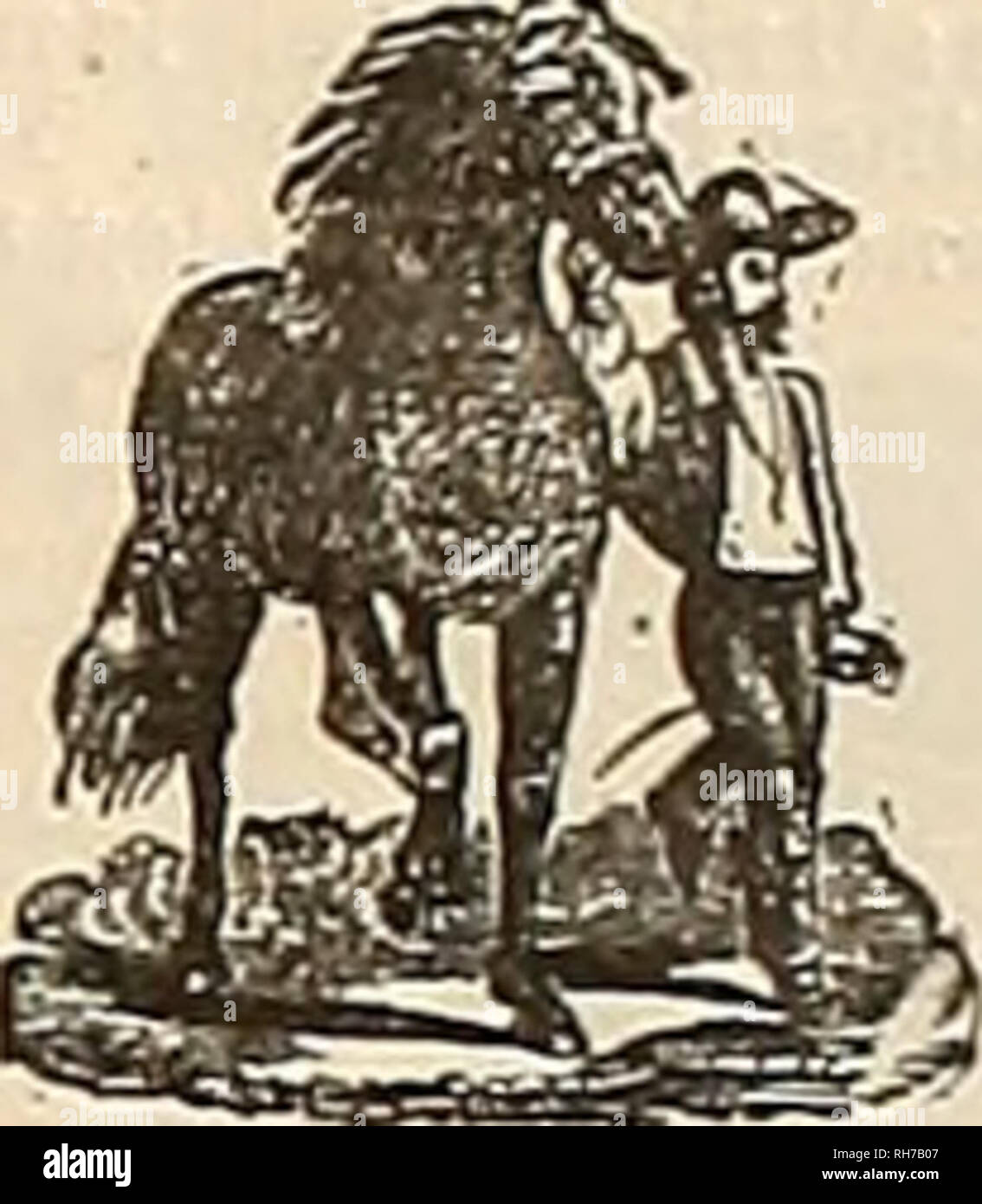 Page 5 Thii High Resolution Stock Photography And Images Alamy