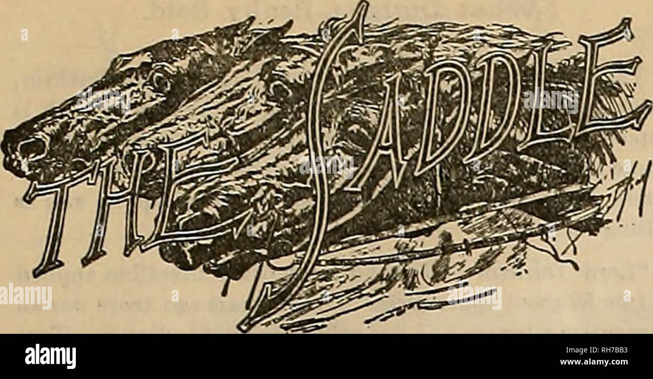 Breeder And Sportsman Horses November 17 1900 Bt Ij E Qvtthsr Twfc Amp P Amp Vt Amp Uivsxu Ed Cobbiqan Arrived In California Last Week He Will Race A Few Horaea Here And Pick Out The Best Of Hia Breeder And Sportsman Horses November 17 1900 Bt Ij E Qvtthsr Twfc Amp P Amp Vt Amp Uivsxu Ed Cobbiqan Arrived In California Last Week He Will Race A Few Horaea Here And Pick Out The Best Of Hia